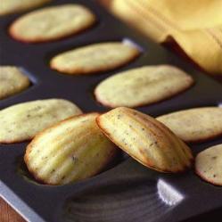 Rosemary and Parmesan Madeleines