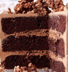 CAKE - Devil's Food Cake with Hazelnut Crunch