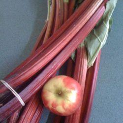 Rhubarb & Apple Jam