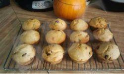 Barb's Pumpkin Chocolate Chip Muffins~Gluten Free