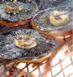 Grilled Portobello Mushrooms